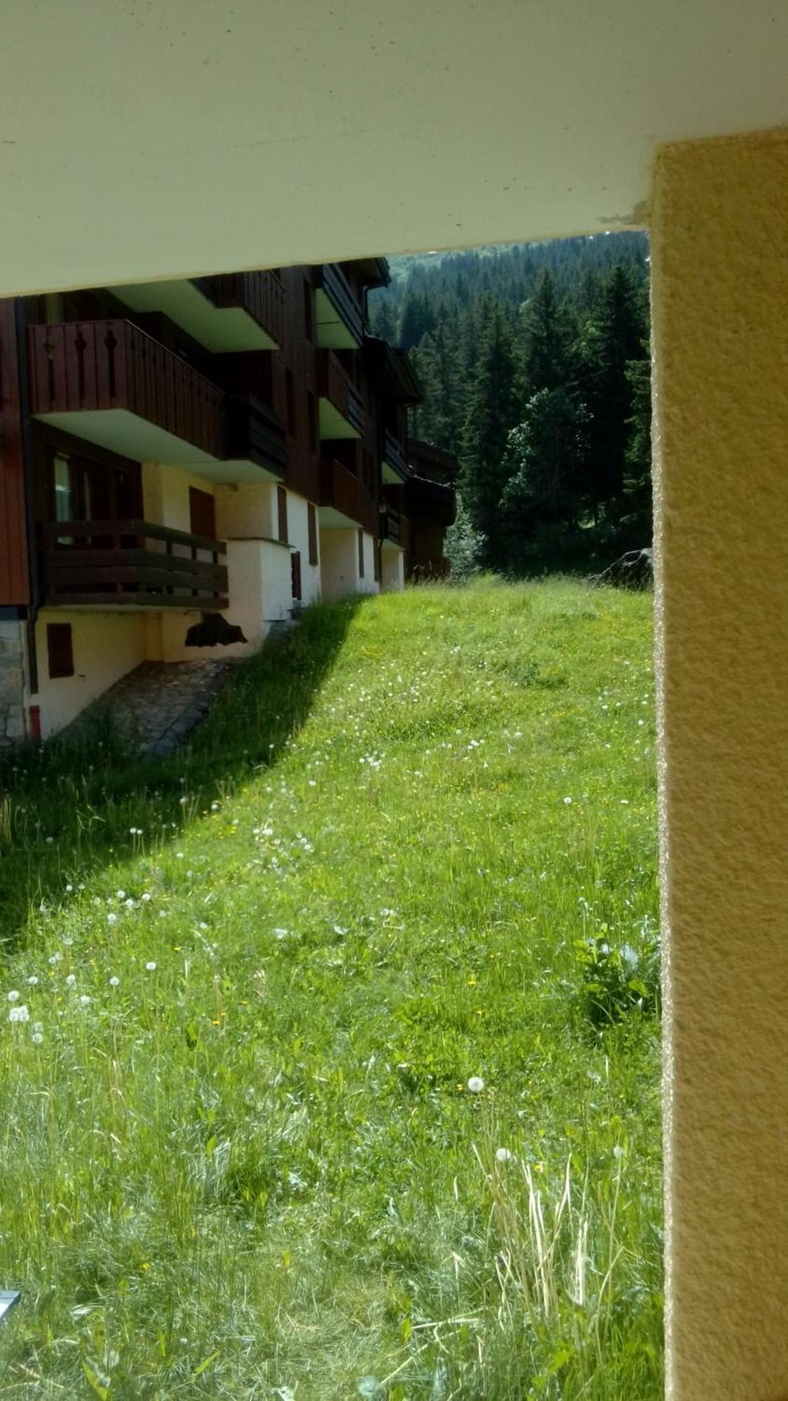 Appartement Au Pied Des Pistes 벨모렐 외부 사진